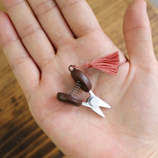 a person holding a pair of scissors in their hand