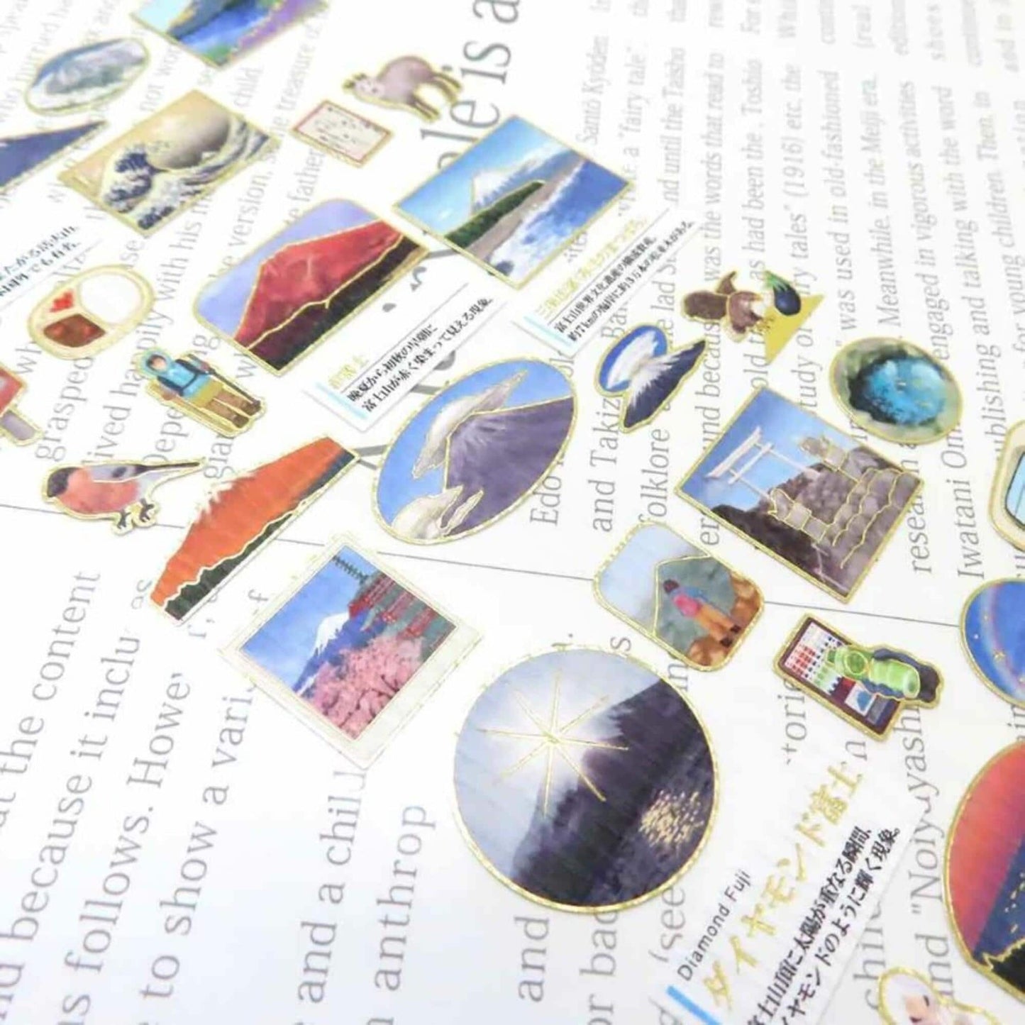 a collage of various pictures, including landscapes, animals, and other elements, arranged on a white background.