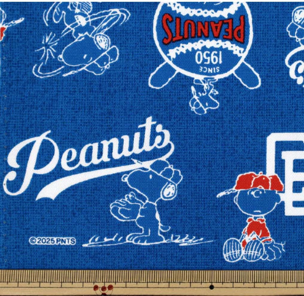 The image is a collage of various Peanuts characters, including Snoopy, Charlie Brown, and Peanuts, all depicted in a blue background with white text and illustrations.