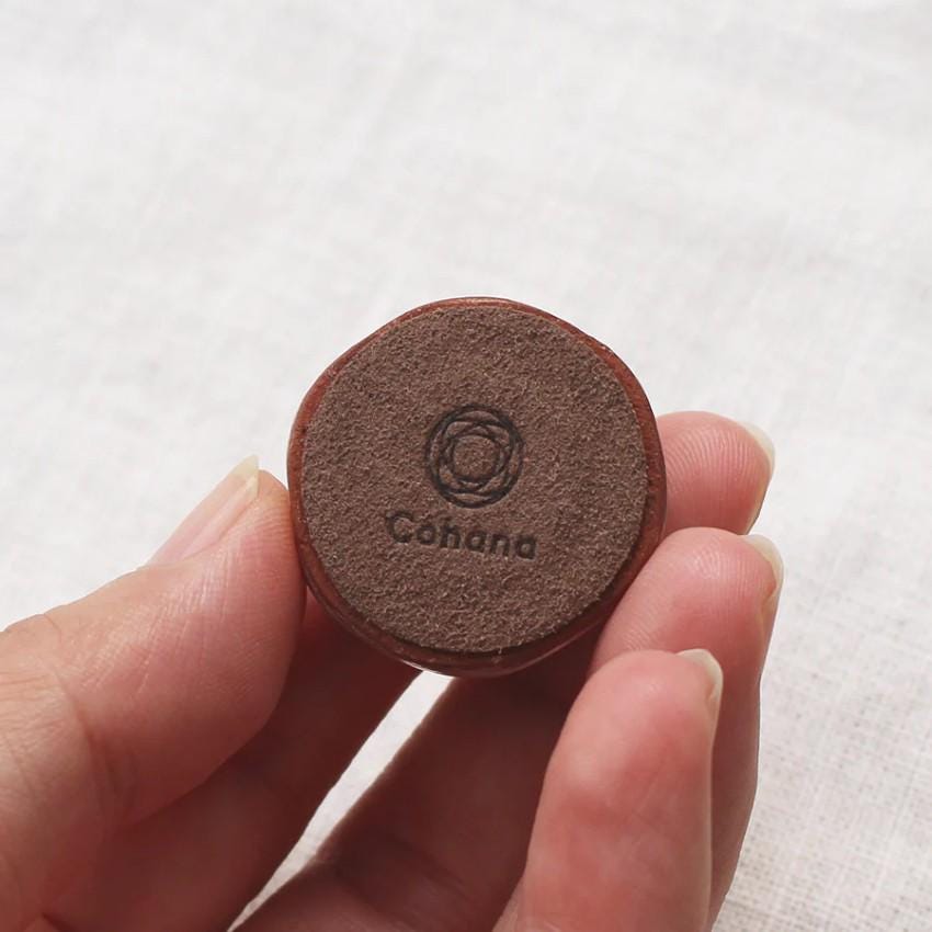 a person holding a small brown object in their hand