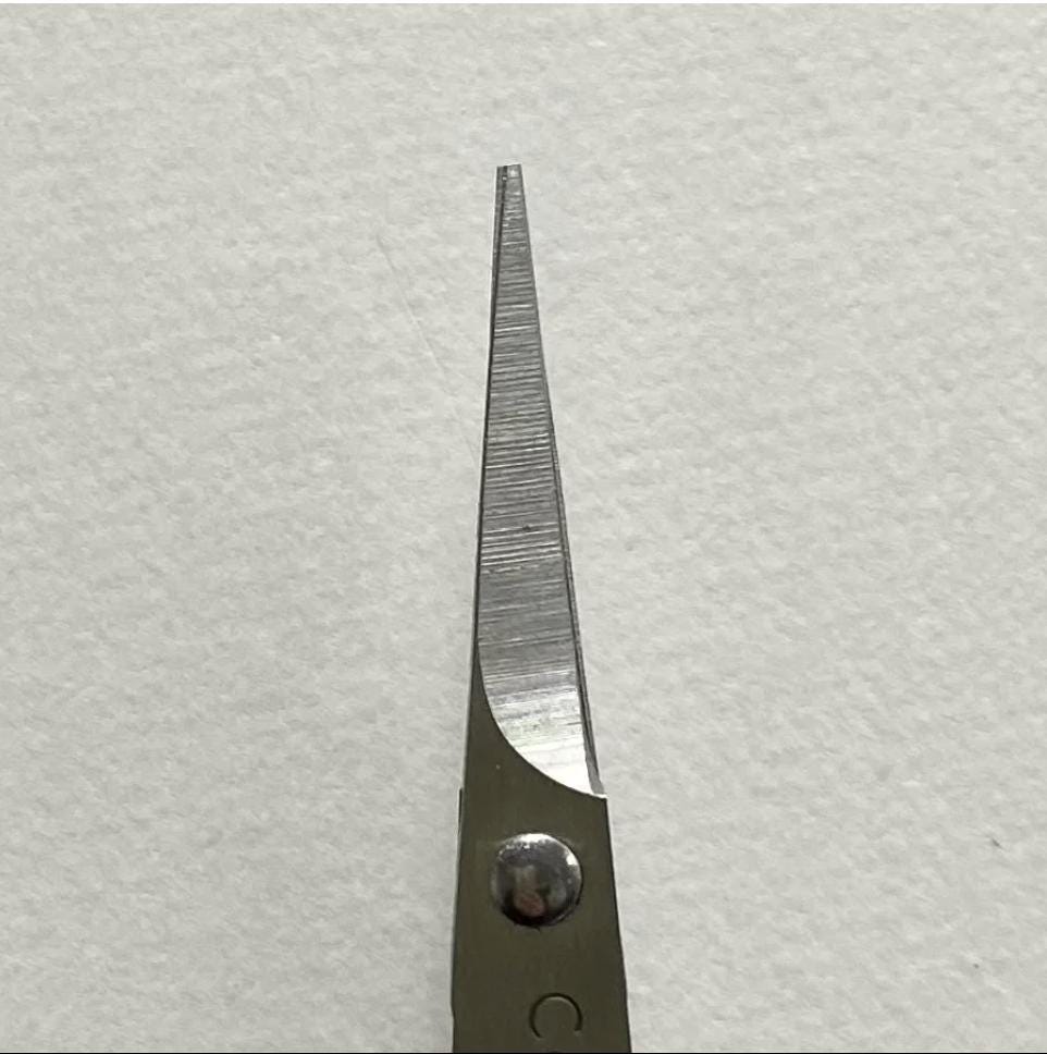 A pair of scissors with a silver blade is shown against a white background.
