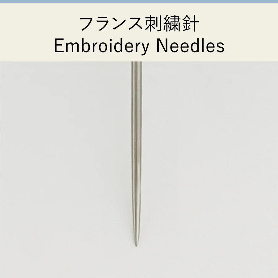 a single, silver embroidery needle against a plain white background.
