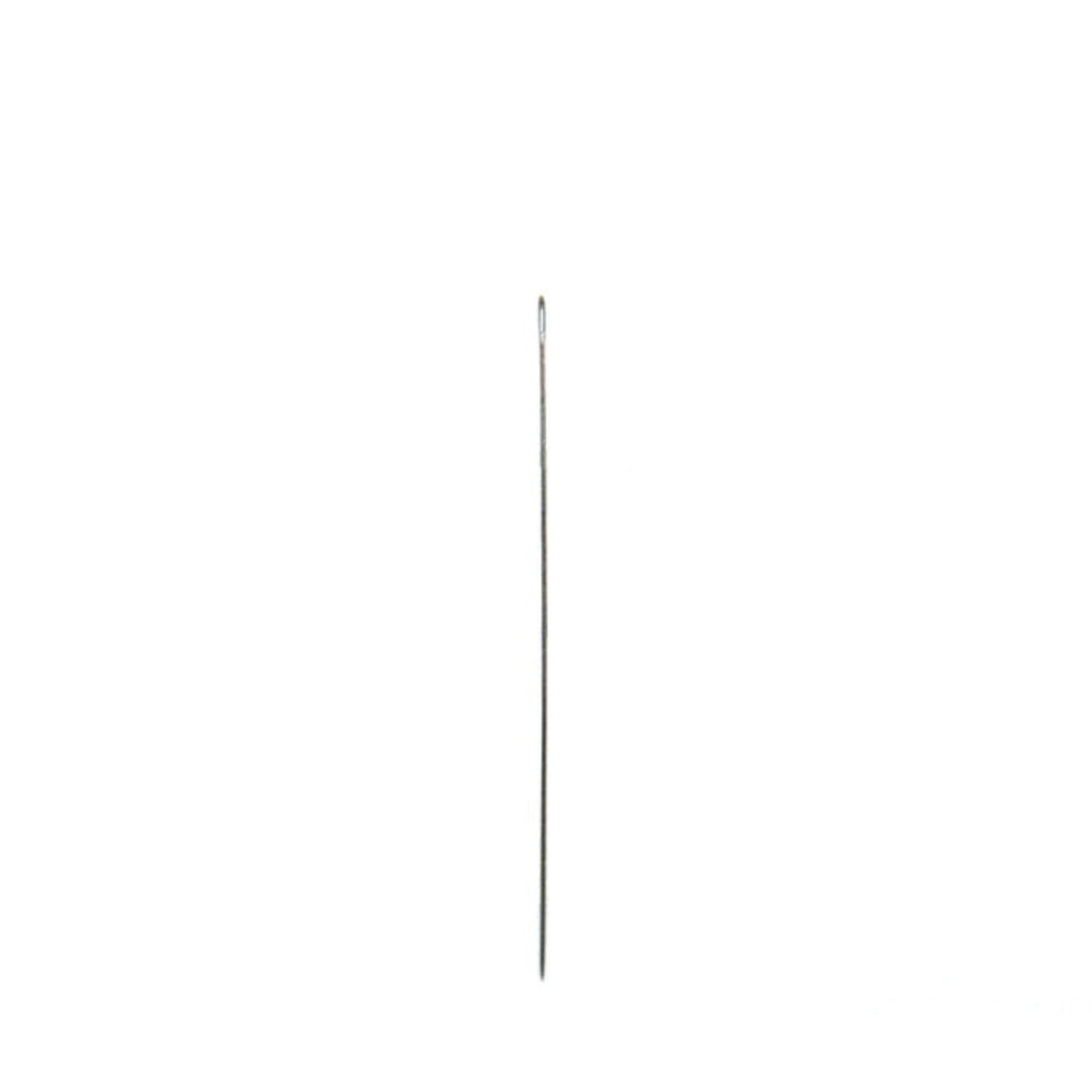 A single, thin needle is shown against a plain white background.