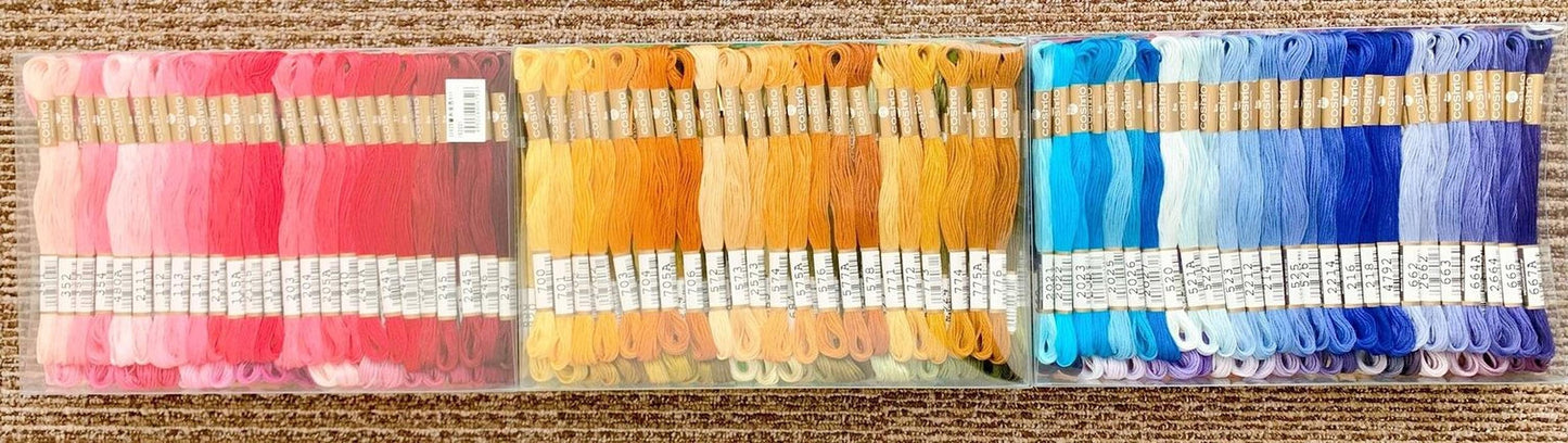 A clear plastic container filled with various colored embroidery floss, arranged in rows and columns.