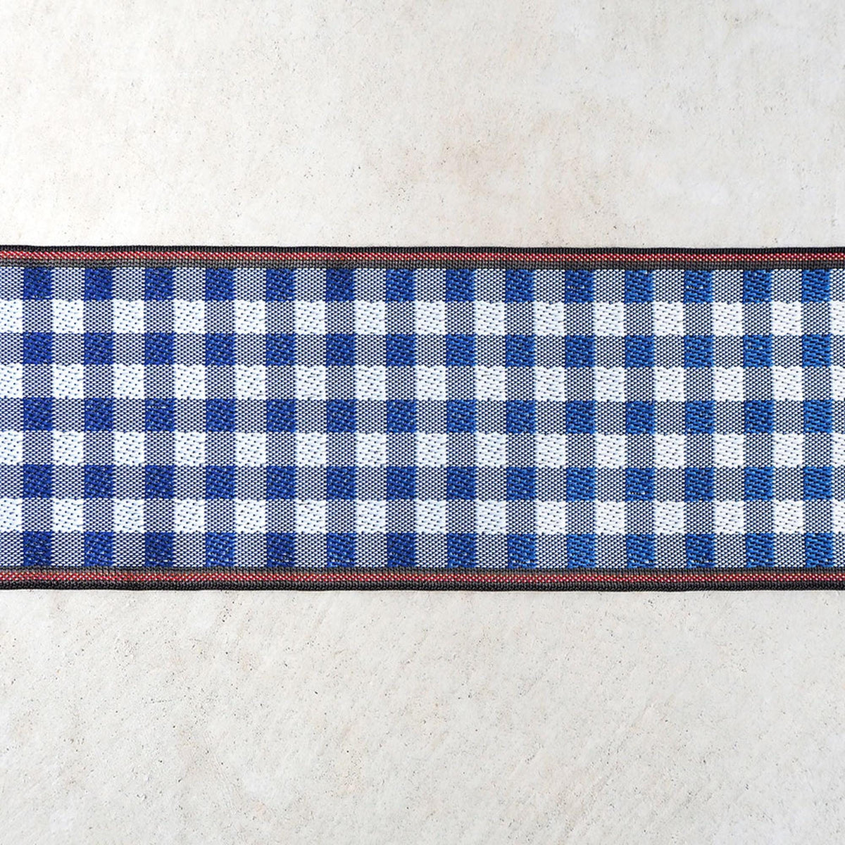 A close-up view of a blue and white checkered pattern on a white surface, with a red border around the edge.